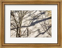 Framed Wall Detail, Nantucket Island