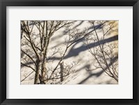 Framed Wall Detail, Nantucket Island