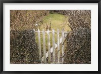 Framed Provincetown Gate in Winter, Cape Cod