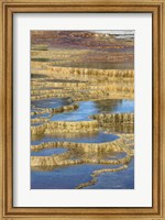 Framed Mineral Deposit Formation, Yellowstone National Park