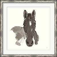 Framed Horse Portrait IV