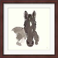 Framed Horse Portrait IV