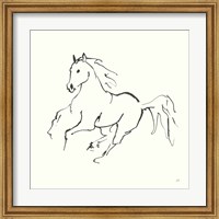 Framed Line Horse III