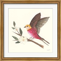 Framed Birds and Blossoms IV