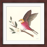 Framed Birds and Blossoms IV