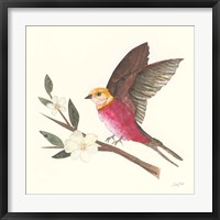 Birds and Blossoms IV Framed Print