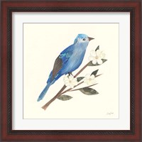 Framed 'Birds and Blossoms III' border=
