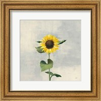 Framed Sunny Blooms II