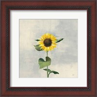 Framed Sunny Blooms II