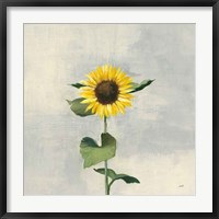 Framed Sunny Blooms II