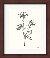 Framed Buttercup