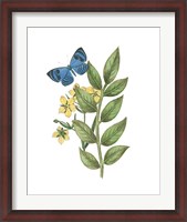 Framed Greenery Butterflies IV