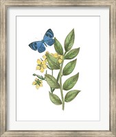 Framed Greenery Butterflies IV