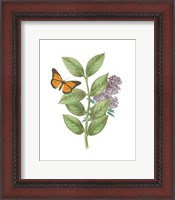 Framed Greenery Butterflies III
