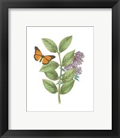 Framed 'Greenery Butterflies III' border=
