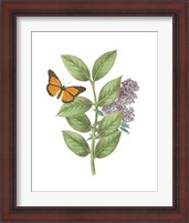 Framed 'Greenery Butterflies III' border=