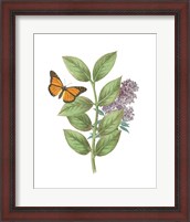 Framed Greenery Butterflies III