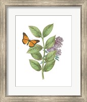 Framed 'Greenery Butterflies III' border=