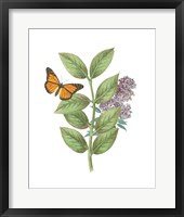 Framed Greenery Butterflies III