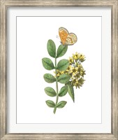 Framed Greenery Butterflies II