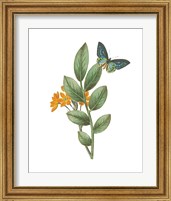 Framed 'Greenery Butterflies I' border=