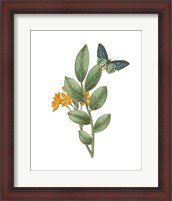 Framed Greenery Butterflies I