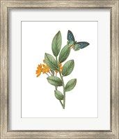 Framed Greenery Butterflies I