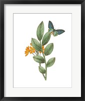 Framed 'Greenery Butterflies I' border=