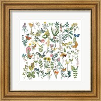 Framed Flowers and Butterflies