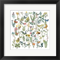 Framed Flowers and Butterflies