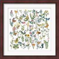 Framed Flowers and Butterflies