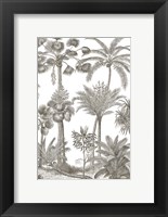 Framed Palm Oasis II