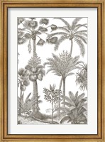 Framed Palm Oasis II