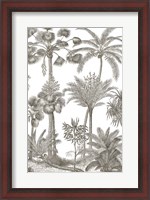 Framed Palm Oasis II