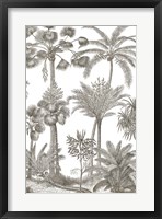 Framed Palm Oasis II