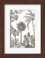 Framed Palm Oasis I