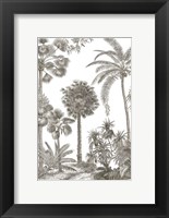 Framed Palm Oasis I