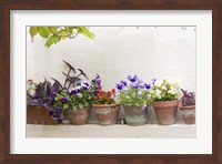 Framed Attractive Flowers In Clay Pots