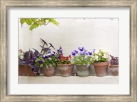 Framed Attractive Flowers In Clay Pots