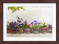 Framed Attractive Flowers In Clay Pots