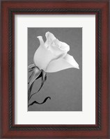 Framed Rose