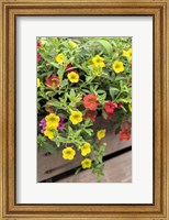 Framed Yellow And Red Million Bells