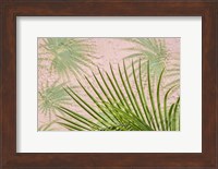 Framed Areca Palm In Front Of Painter Palm Mural