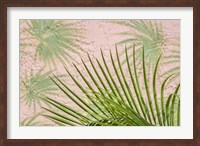 Framed Areca Palm In Front Of Painter Palm Mural