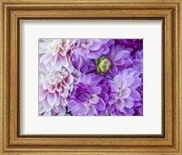 Framed Flower Pattern With Large Group Of Lavender Flowers