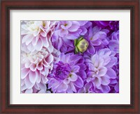Framed Flower Pattern With Large Group Of Lavender Flowers