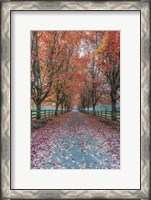 Framed Autumn Country Lane