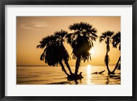 Framed Sunrise On The Beach, Through The Palms