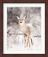 Framed Deer in Winter Forest