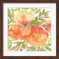Framed Peachy Floral III